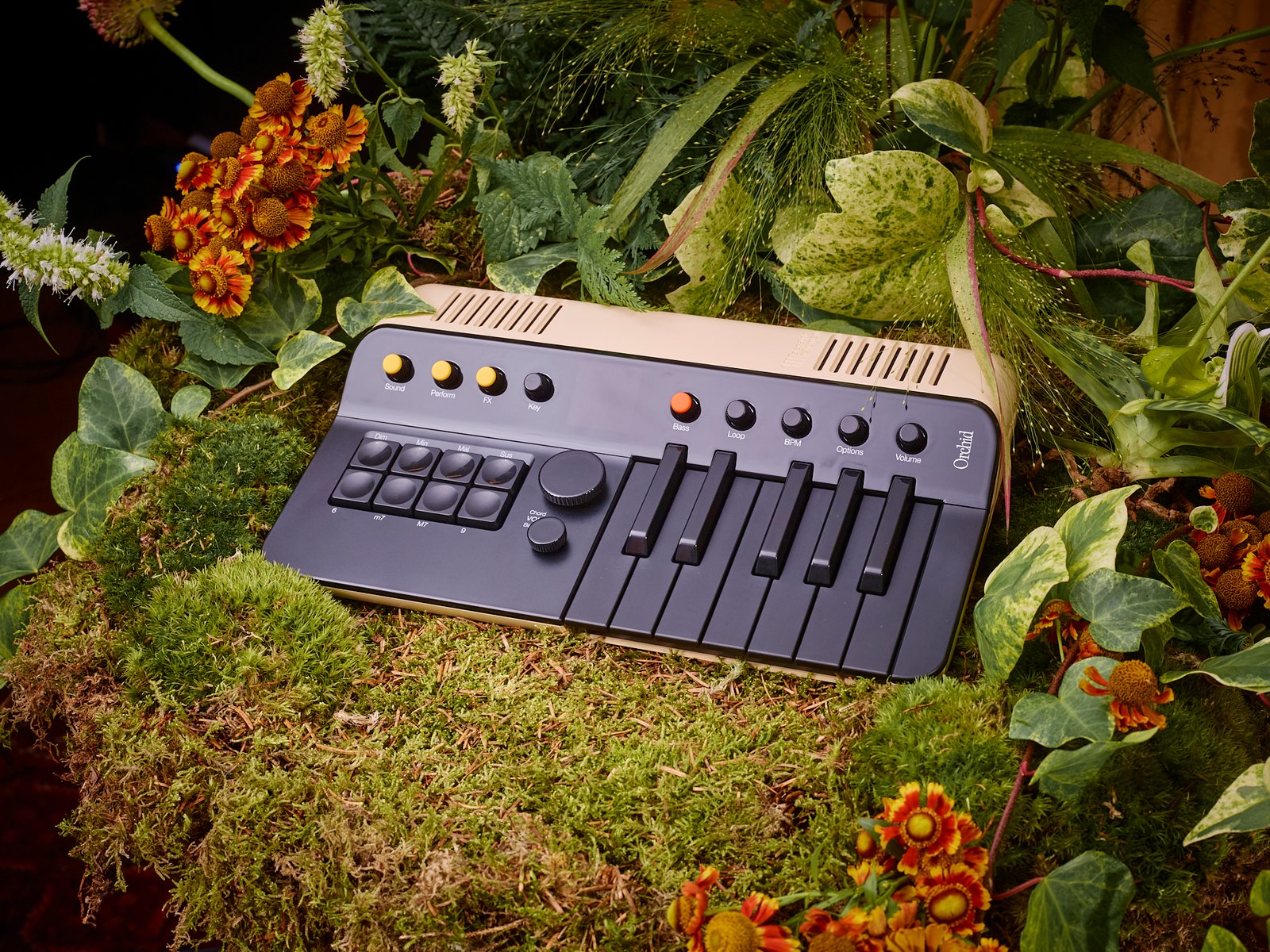 ef9e8f1a-f8f6-1075-05df-600861b44bd3 - RE:FORM